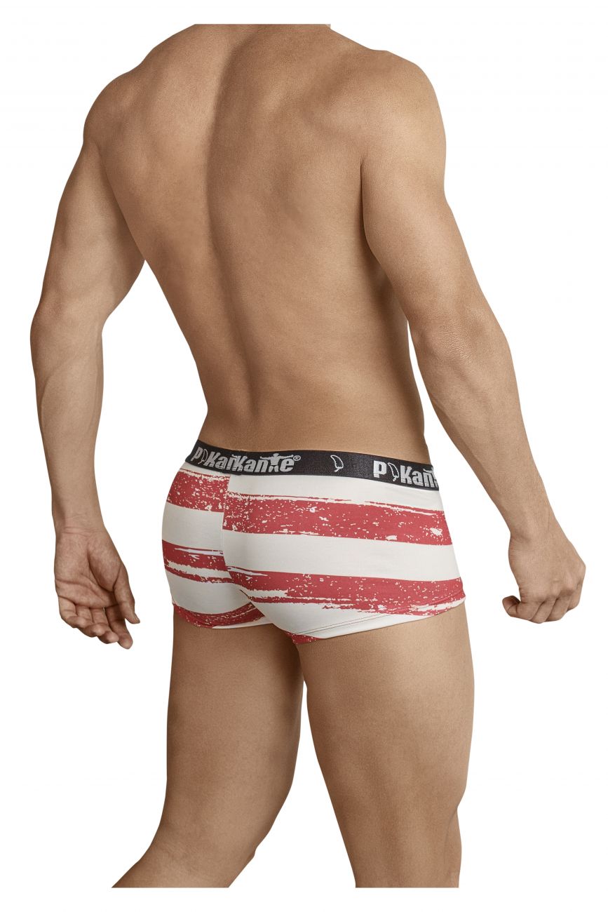 Pikante USA Castro Boxer Briefs